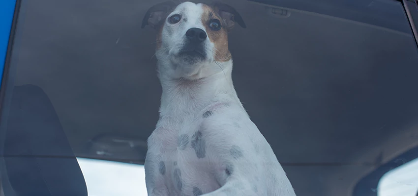 Car Lockout Solutions in Ramona, California